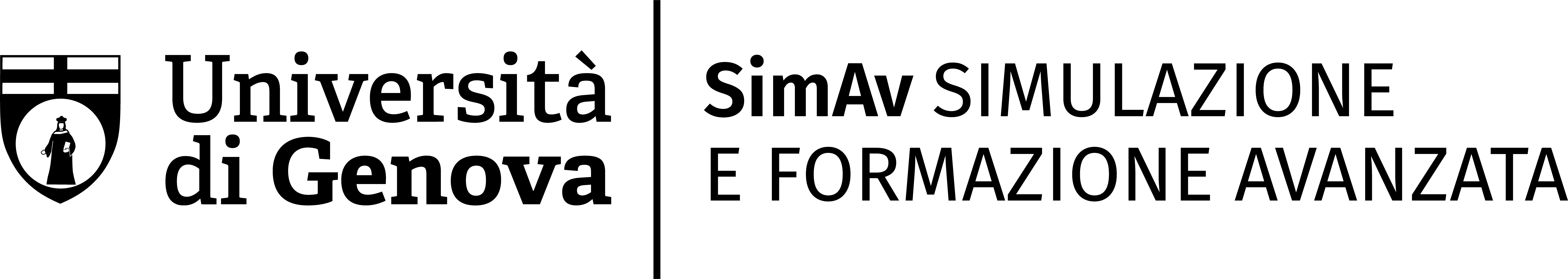 Programs SIMAV
